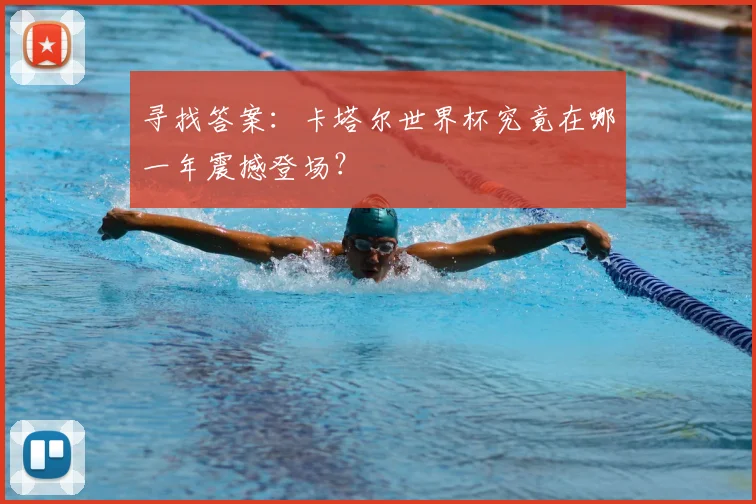 寻找答案：卡塔尔世界杯究竟在哪一年震撼登场？