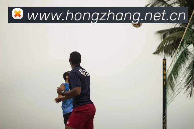 App Interface Preview